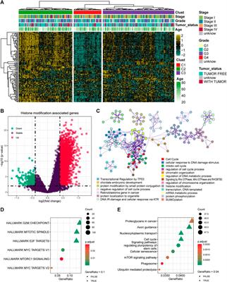 Assessment of alterations in histone modification function and guidance for death risk prediction in cervical cancer patients